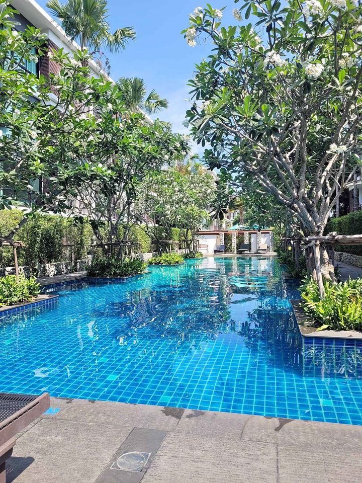 a pool surrounded by lush green trees in a resort